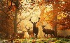 Autumn Season Deers In Forest Wallpaper wallpaper