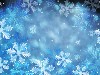 Winter Snowflake Hd Wallpaper wallpaper